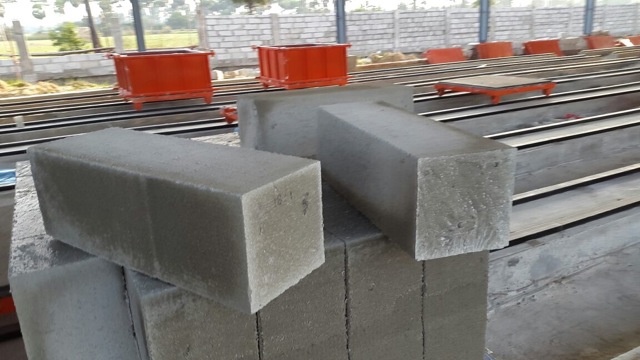 Gạch block bê tông nhẹ sản xuất tại Ấn Độ